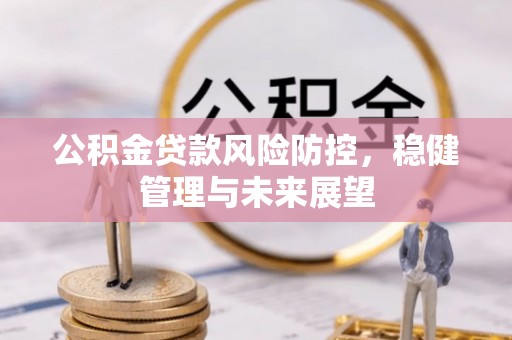 忻州公积金贷款风险防控，稳健管理与未来展望