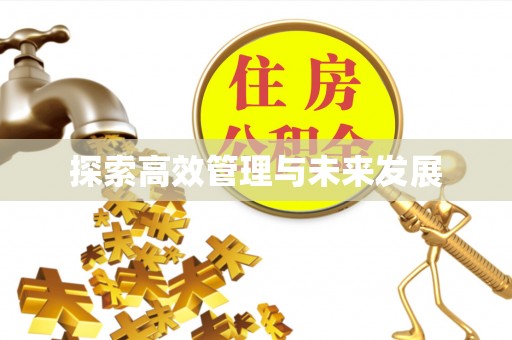 忻州探索高效管理与未来发展