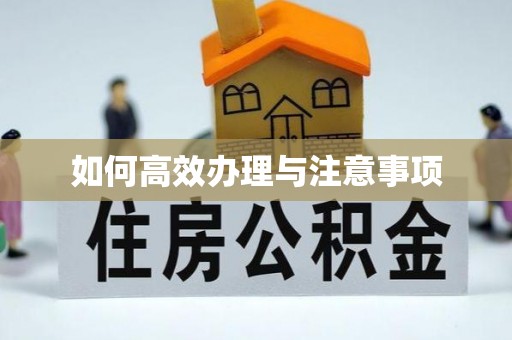 忻州如何高效办理与注意事项