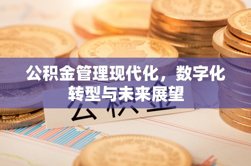 忻州公积金管理现代化，数字化转型与未来展望