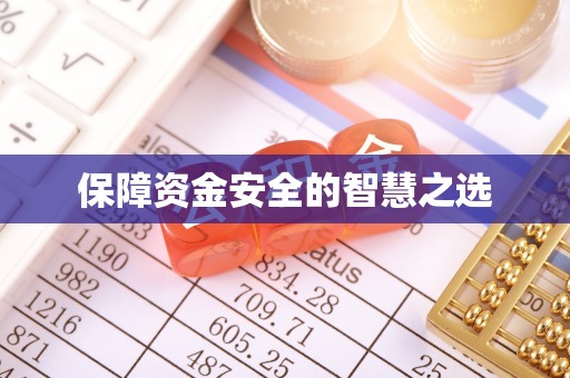 忻州保障资金安全的智慧之选