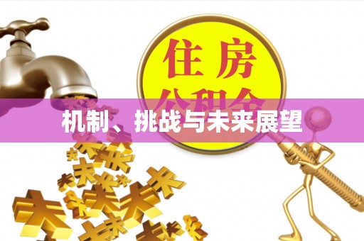 忻州机制、挑战与未来展望
