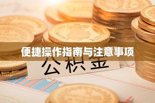 忻州便捷操作指南与注意事项